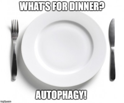 dinner-autophagy.jpg